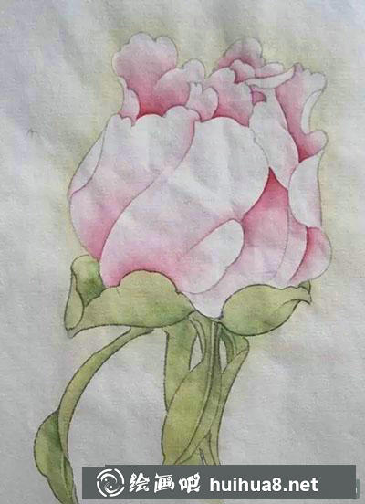 工笔画教程：怎么画牡丹花苞