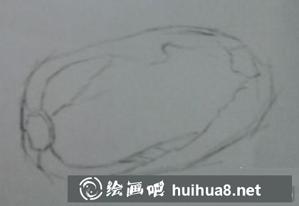 大白菜的画法