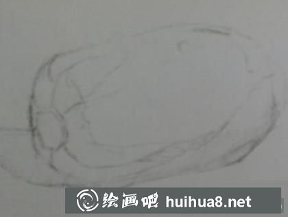 大白菜的画法