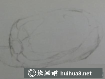大白菜的画法