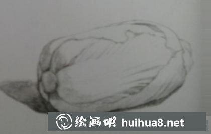 大白菜的画法
