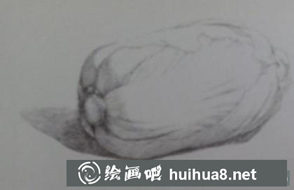 大白菜的画法