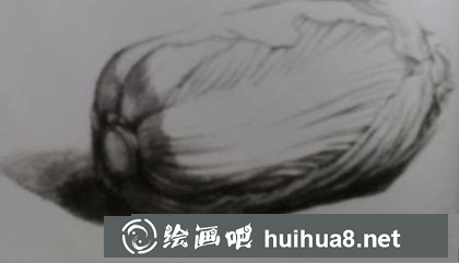 大白菜的画法