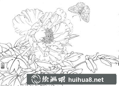 工笔画教程怎么画《凤丹白蛱蝶》 工笔画教程怎么画《凤丹白蛱蝶》