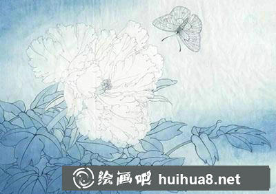 工笔画教程怎么画《凤丹白蛱蝶》 工笔画教程怎么画《凤丹白蛱蝶》