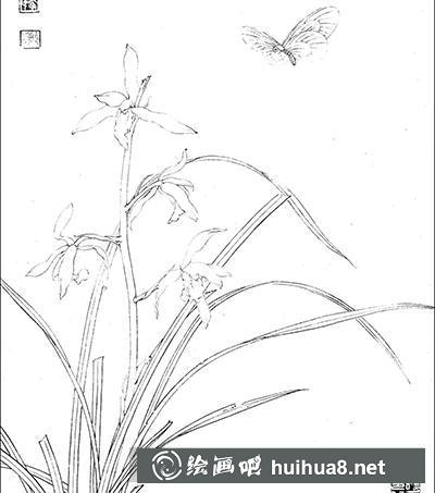 工笔画教程怎么画《粉蝶春兰》 工笔画教程怎么画《粉蝶春兰》