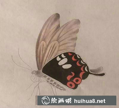 工笔画教程怎么画蝴蝶与紫藤花