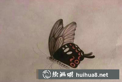 工笔画教程怎么画蝴蝶与紫藤花