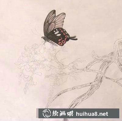 工笔画教程怎么画蝴蝶与紫藤花