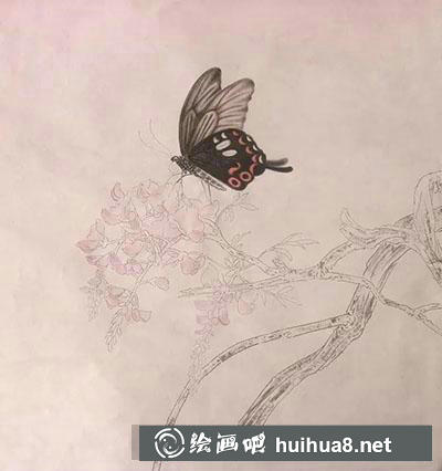 工笔画教程怎么画蝴蝶与紫藤花