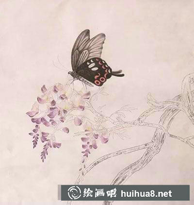 工笔画教程怎么画蝴蝶与紫藤花