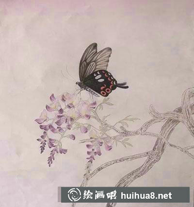 工笔画教程怎么画蝴蝶与紫藤花