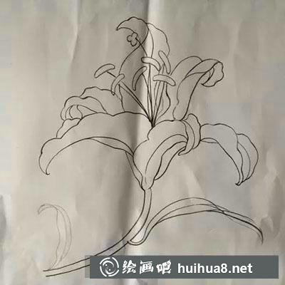 怎么画百合花 怎么画百合花