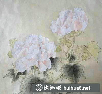 工笔画教程怎么画红芙蓉
