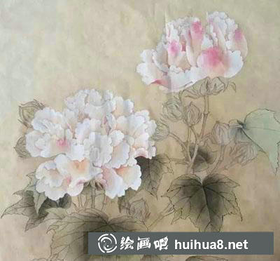 工笔画教程怎么画红芙蓉