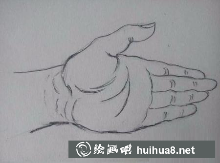 手掌的画法 手掌的画法