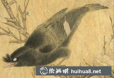 怎么画八哥 怎么画八哥