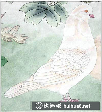 怎么画鸽子