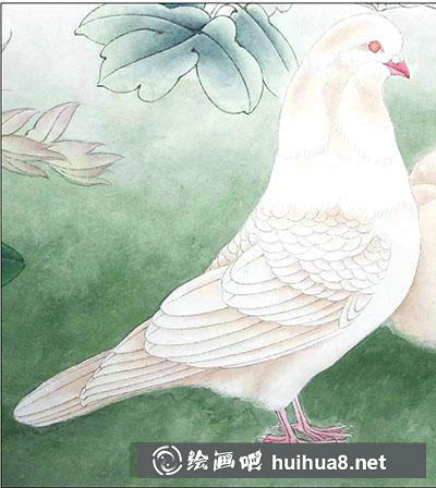 怎么画鸽子