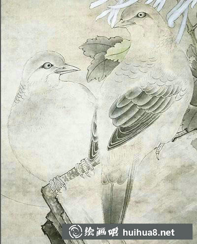 怎么画工笔画斑鸠