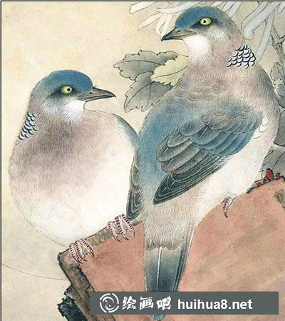 怎么画工笔画斑鸠