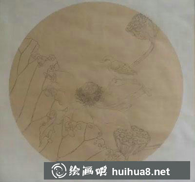 工笔画教程怎么画秋荷鹡鸰图
