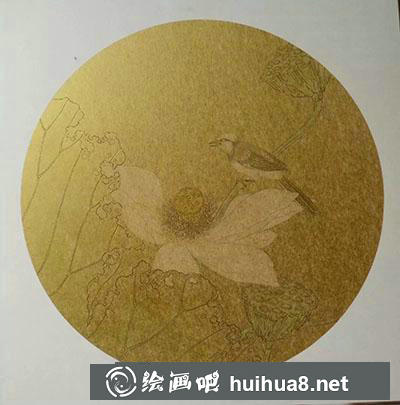 工笔画教程怎么画秋荷鹡鸰图
