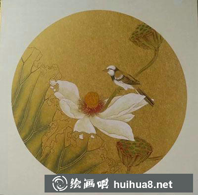 工笔画教程怎么画秋荷鹡鸰图