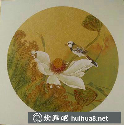 工笔画教程怎么画秋荷鹡鸰图