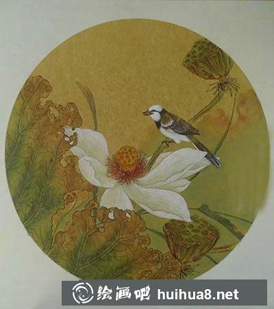 工笔画教程怎么画秋荷鹡鸰图