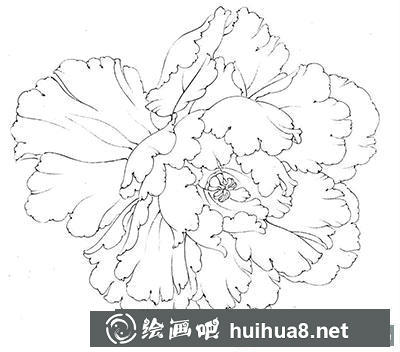 工笔画教程怎么画六色牡丹花头