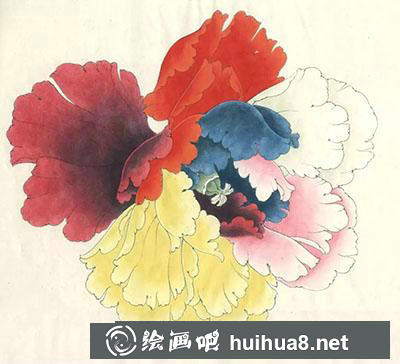 工笔画教程怎么画六色牡丹花头