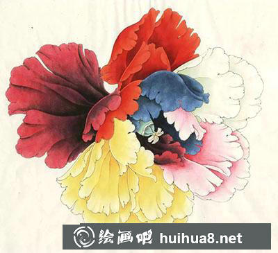 工笔画教程怎么画六色牡丹花头