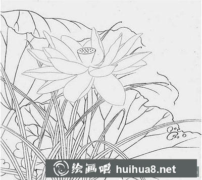 工笔画教程怎么画荷花《玉莲丽影》