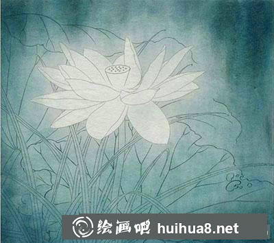 工笔画教程怎么画荷花《玉莲丽影》