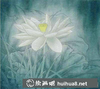 工笔画教程怎么画荷花《玉莲丽影》