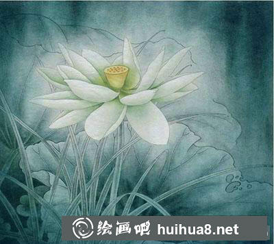 工笔画教程怎么画荷花《玉莲丽影》