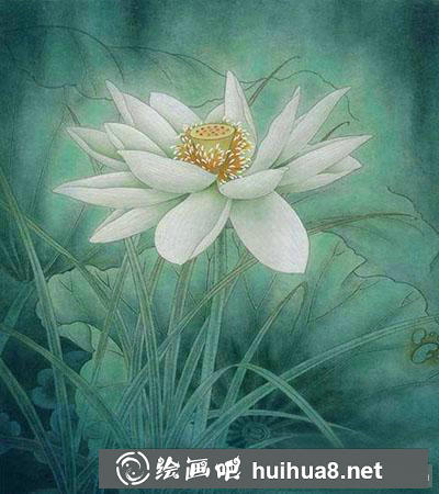 工笔画教程怎么画荷花《玉莲丽影》