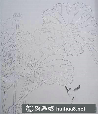 怎么画工笔画荷花与翠鸟 怎么画工笔画荷花与翠鸟
