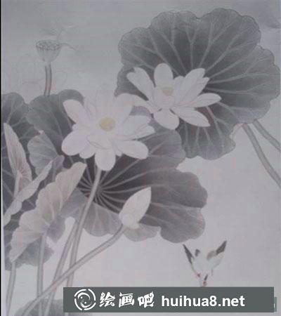 怎么画工笔画荷花与翠鸟 怎么画工笔画荷花与翠鸟