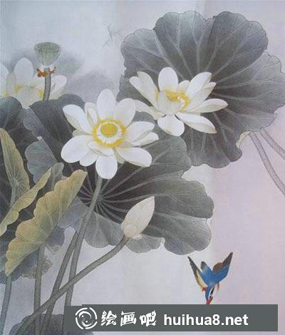 怎么画工笔画荷花与翠鸟 怎么画工笔画荷花与翠鸟