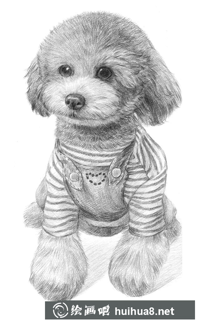 狗狗素描作品1