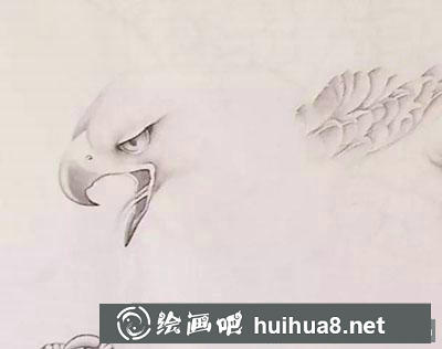 工笔画老鹰教程 工笔画老鹰教程