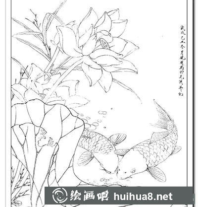 工笔画教程:怎么画《鲤鱼荷花》 工笔画教程:怎么画《鲤鱼荷花》