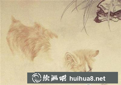 可爱小狗戏蜗牛 可爱小狗戏蜗牛