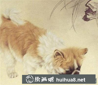 可爱小狗戏蜗牛 可爱小狗戏蜗牛