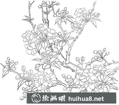 工笔画教程:怎么绘制海棠花 工笔画教程:怎么绘制海棠花