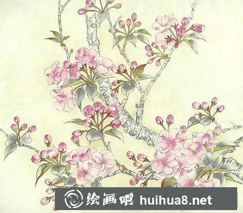 工笔画教程:怎么绘制海棠花 工笔画教程:怎么绘制海棠花