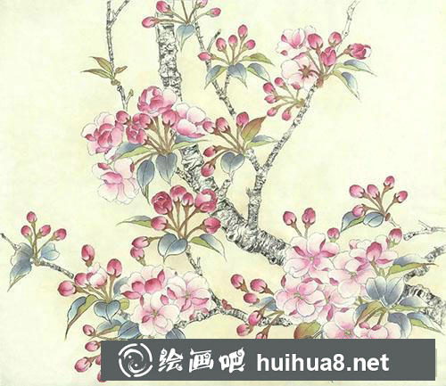 工笔画教程:怎么绘制海棠花 工笔画教程:怎么绘制海棠花