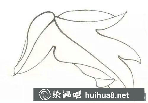 工笔牡丹正面叶子染色步骤 工笔牡丹正面叶子染色步骤